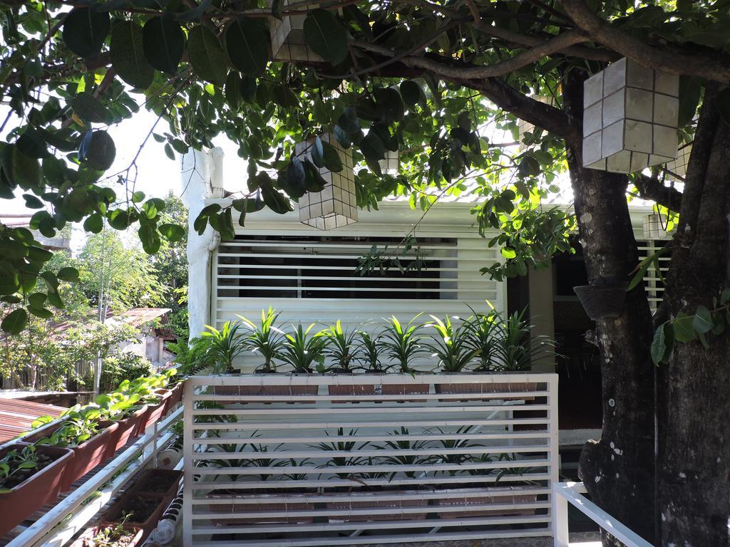 פורטו פרינססה Orange Mangrove Pension House By Sms Hospitality מראה חיצוני תמונה