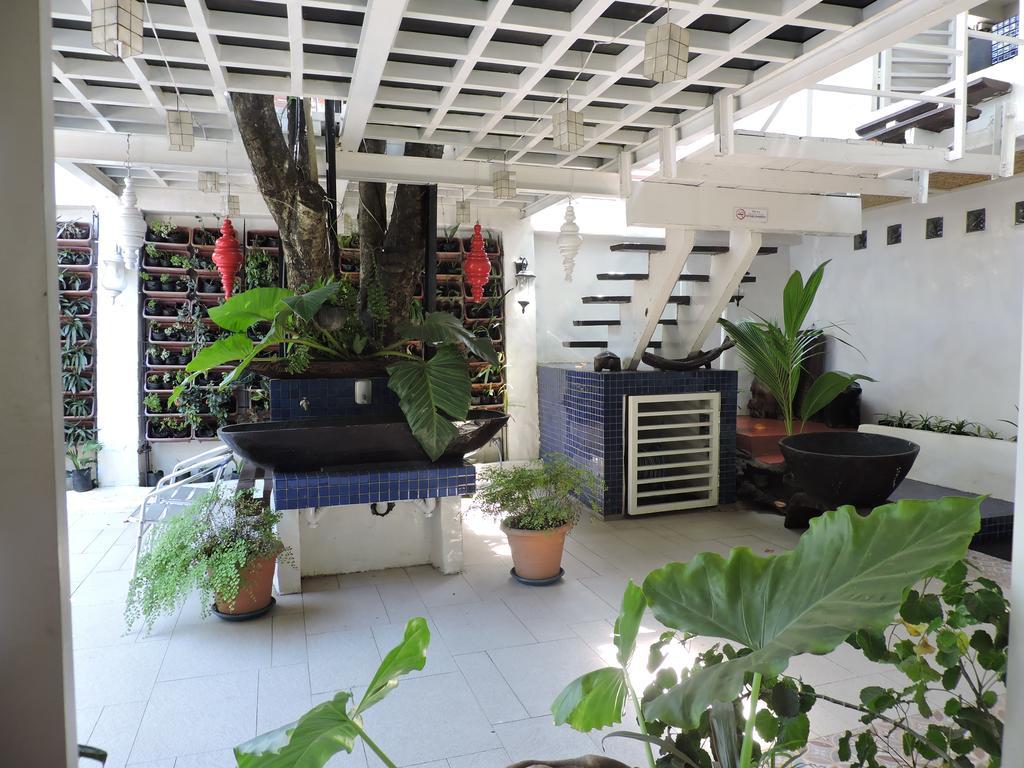 פורטו פרינססה Orange Mangrove Pension House By Sms Hospitality מראה חיצוני תמונה