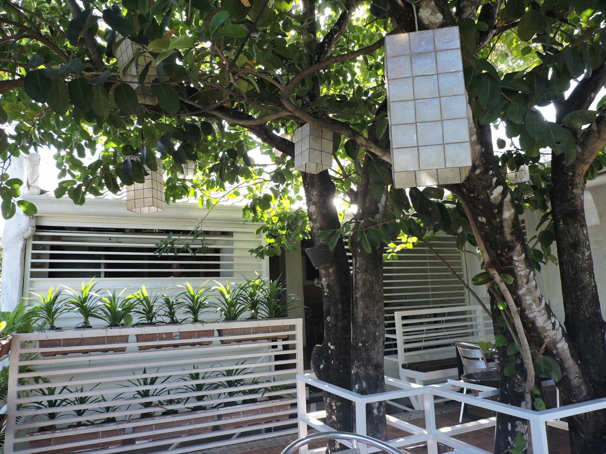 פורטו פרינססה Orange Mangrove Pension House By Sms Hospitality מראה חיצוני תמונה